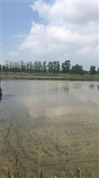種植基地